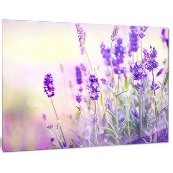 "Purple Lavender Field" Photography Metal Wall Art, 28"x12"