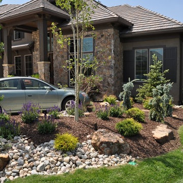 Residential Design