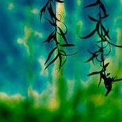 Karen Carter-Schwendlerさんの写真