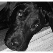 Jane Edmunds's photo