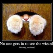 Michele Stemler's photo