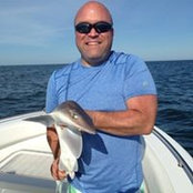 Andy Lewis's photo