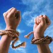 Hanan Dawoud's photo