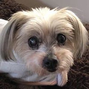 Liz Deacon's photo