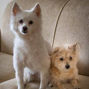 Debbie Hancq's photo