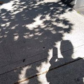 Maggie Miller's photo