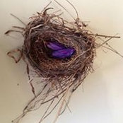 Sheila Berger's photo