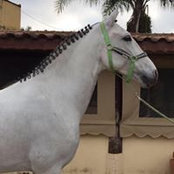 Lynda Burch's photo