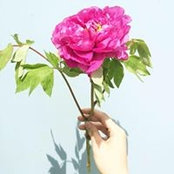 Le Benny's photo