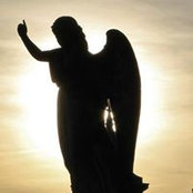 Lisa Murphy's photo