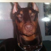 Lorraine Taranto's photo