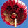 webuser_7146496
