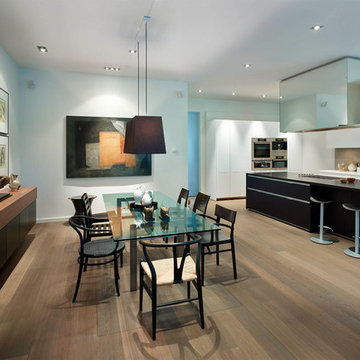 Toronto Contemporary House