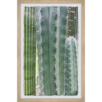 "Cactus Prickles" Framed Painting Print, 12"x18"