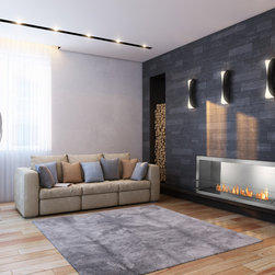 Ignis Ethanol Fireplace Inserts / Fireboxes FB3600-S - Indoor Fireplaces