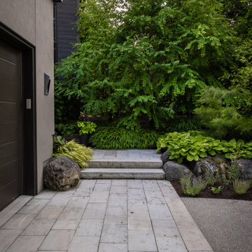 Forest Retreat