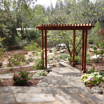 Ben Lomond garden
