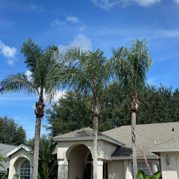 New Landscaping Jobs