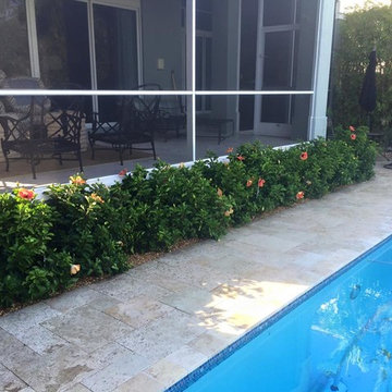 Landscaping