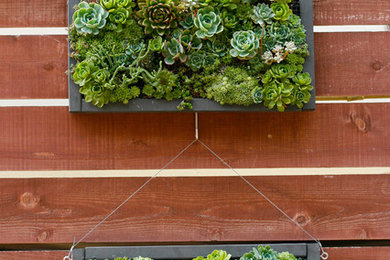 Photo of a contemporary landscaping in San Francisco.