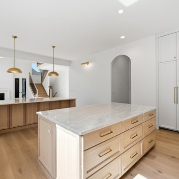 Modern Transitional Wyndermere | Burr Ridge, IL
