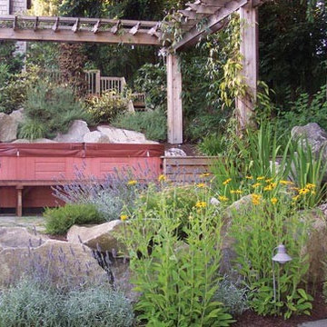 Bellevue Deck and Natural Garden Design