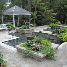 311 Backyard