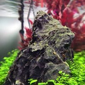 Dan Cadar's photo