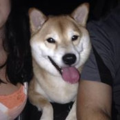 Alyssa Schreiner's photo