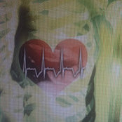 Foto von Tisha Twitdy
