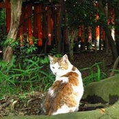 Eric Pom-Cat's photo