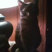 Barbara Cramer Henson's photo
