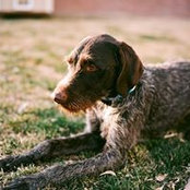 Erik Stabile's photo
