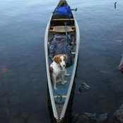 Alan Gage's photo