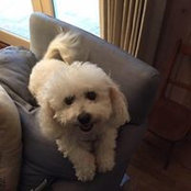 Marjorie Cannon's photo