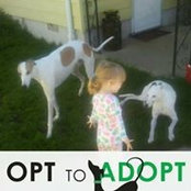 Kara Swartzlander's photo