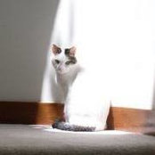 Jennifer Haga's photo