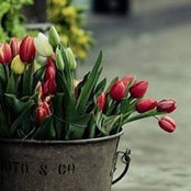Екатерина Терзиева's photo
