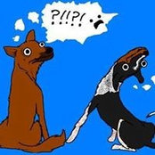 Sara Watson's photo