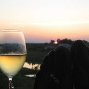 Stephen Baluch's photo