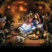 Amanda Cain's photo