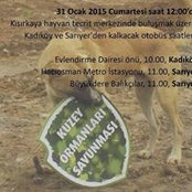 burcu turan's photo
