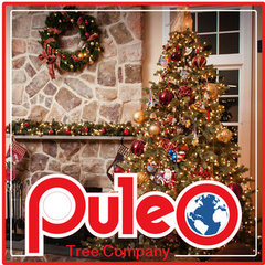 Puleo International