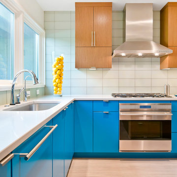 Mid-Century Modern Kitchen with Greenfield Cabinetry