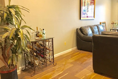 Living Room Remodel