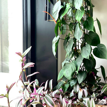 Jardin intérieur - l'énergie du végétal
