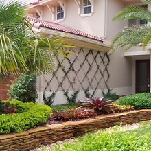 Landscape Ideas