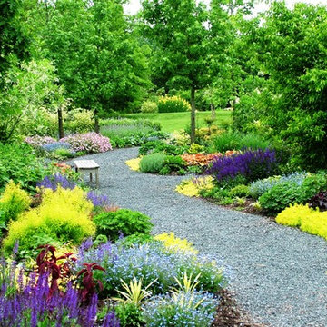 Deer Resistant Garden