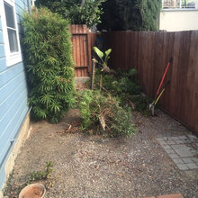 Side yard makeover