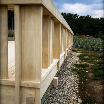 Luxurious Romanian Home